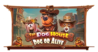 The Dog House – Dog or Alive